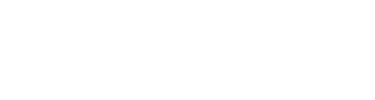 Logo Instituto Arapyaú